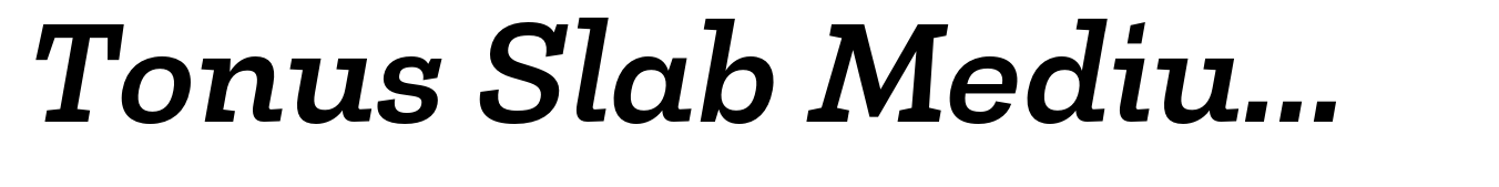 Tonus Slab Medium Italic